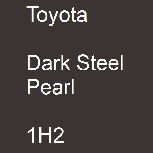 Toyota, Dark Steel Pearl, 1H2.